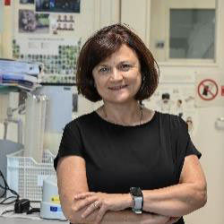 Analia Bortolozzi
